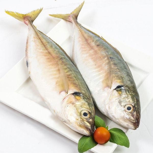 Only Fresh Products
