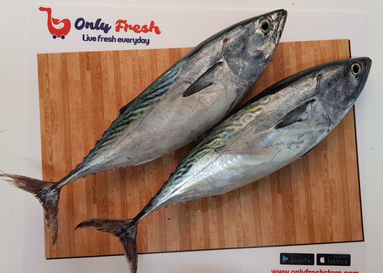 Only Fresh Products