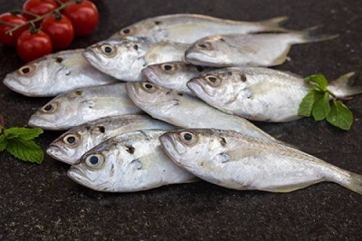 Only Fresh Products