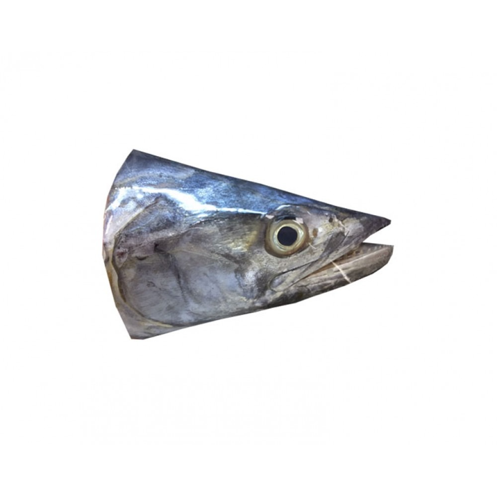 KING FISH HEAD 2 Kg