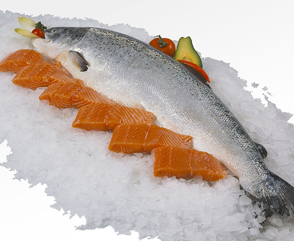 Only Fresh Products