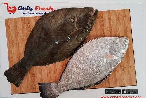 HALIBUT /AYIRAM PALLI