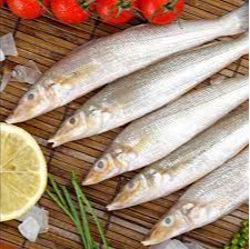 Only Fresh Products