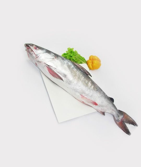 Only Fresh Products