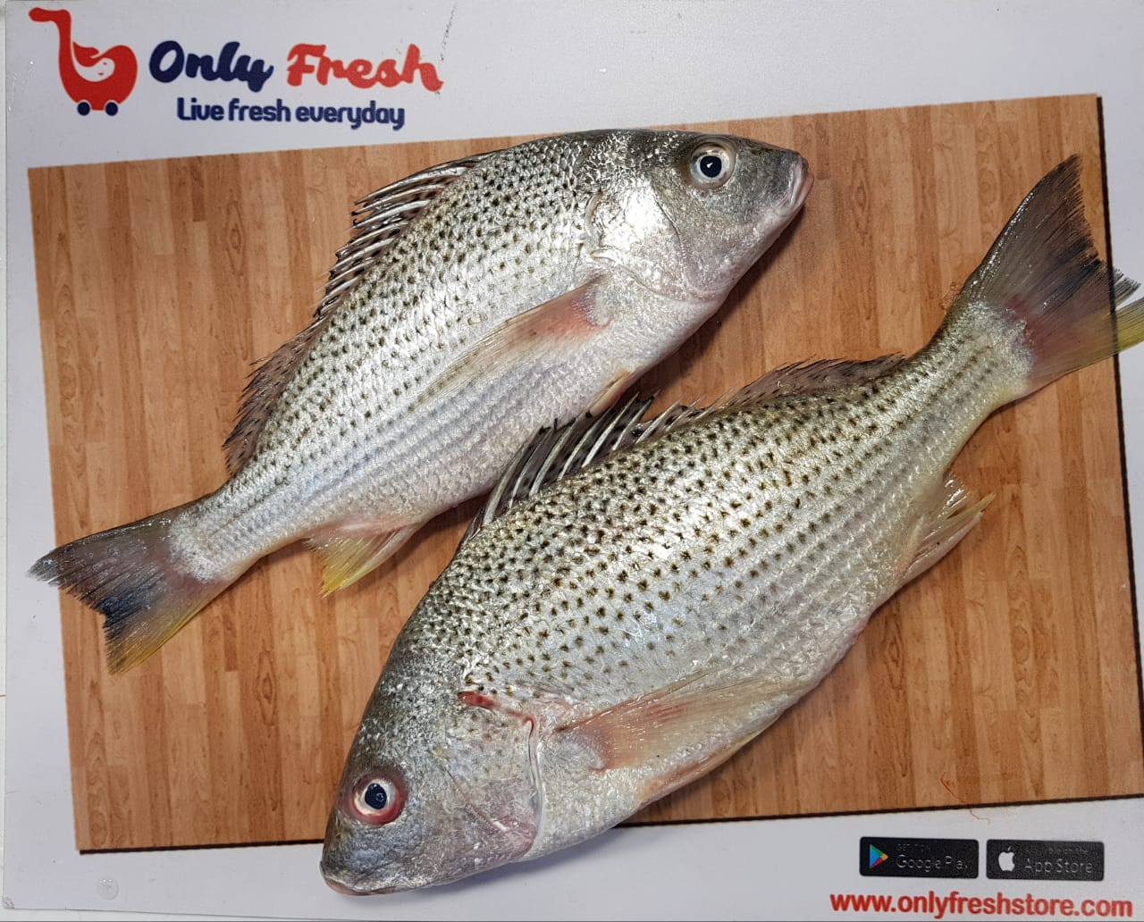 Only Fresh Products