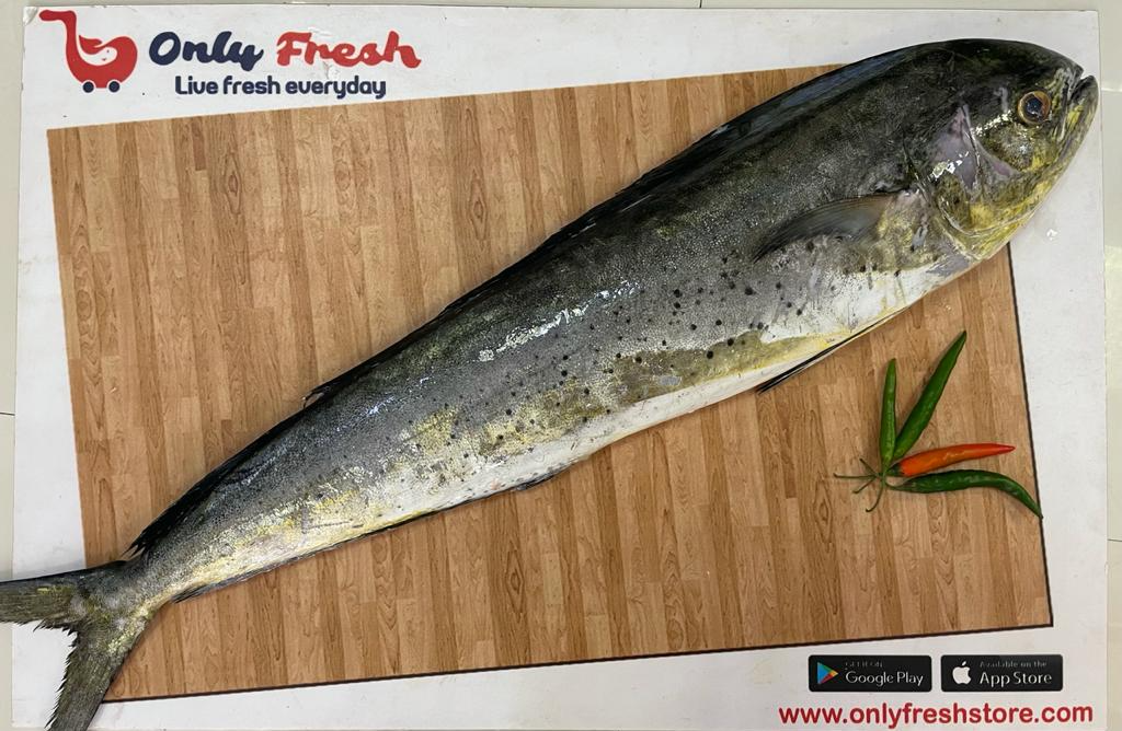 Only Fresh Products