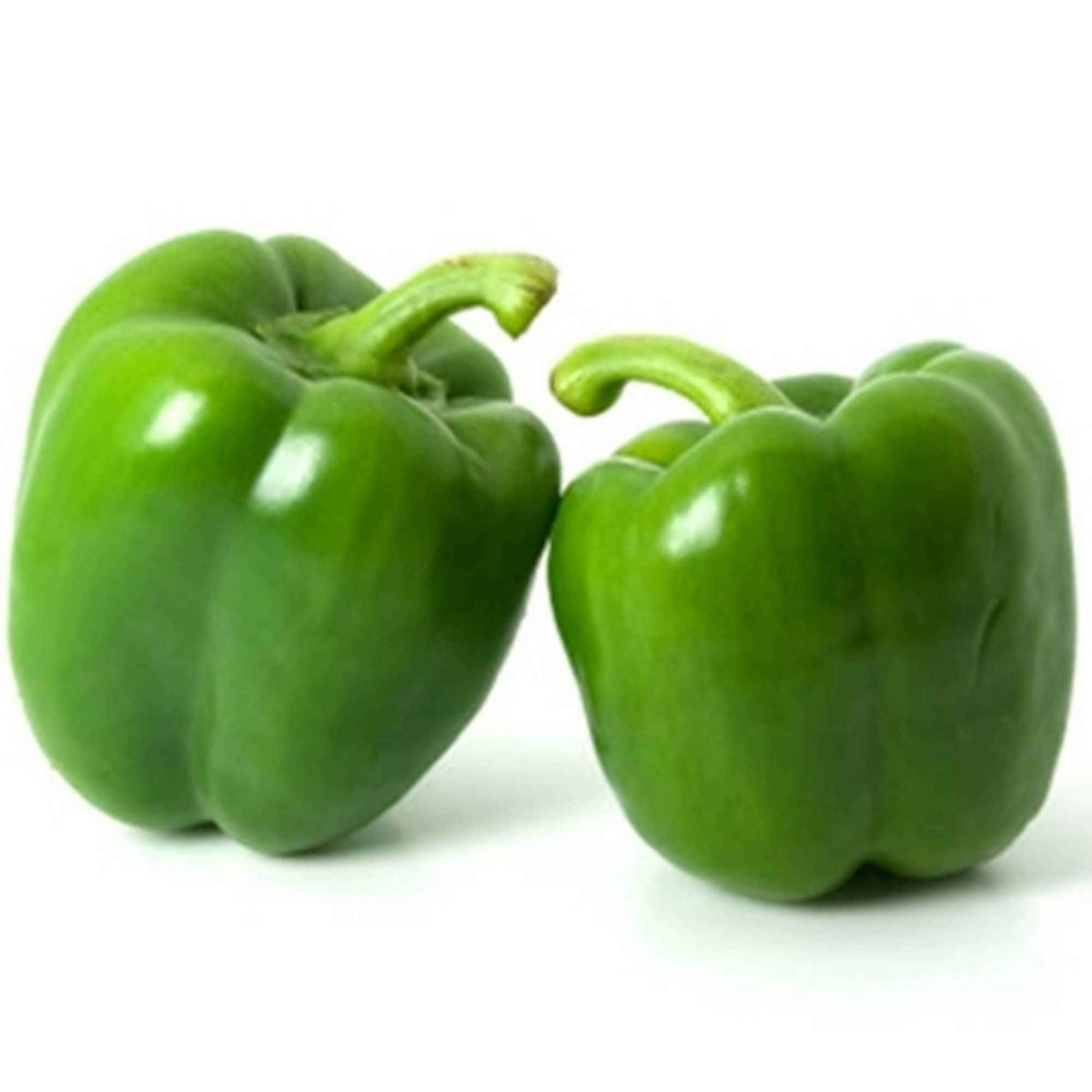 CAPSICUM - GREEN