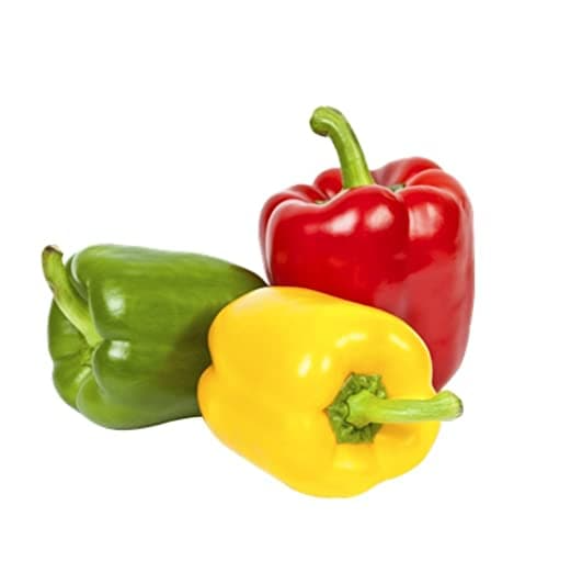 CAPSICUM - ASSORTED