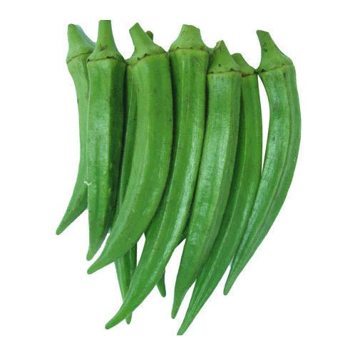 LADY FINGER / VENDAKKA / BHINDI