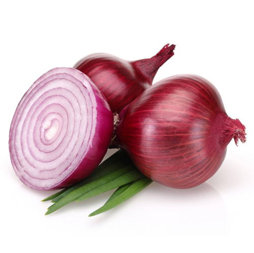 ONION  / VENKAYAM / SAVALA