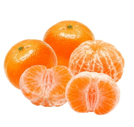 Only Fresh Products