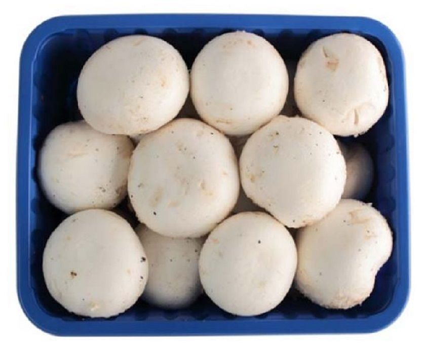 MUSHROOM BUTTON 250gms Box