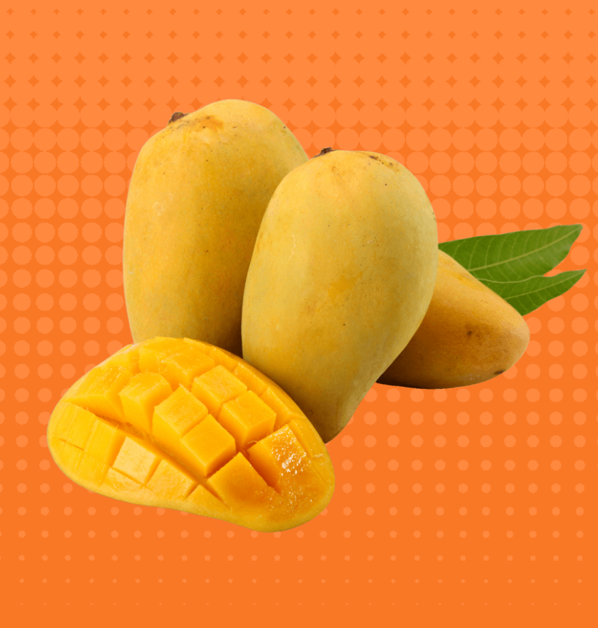 Only Fresh Products