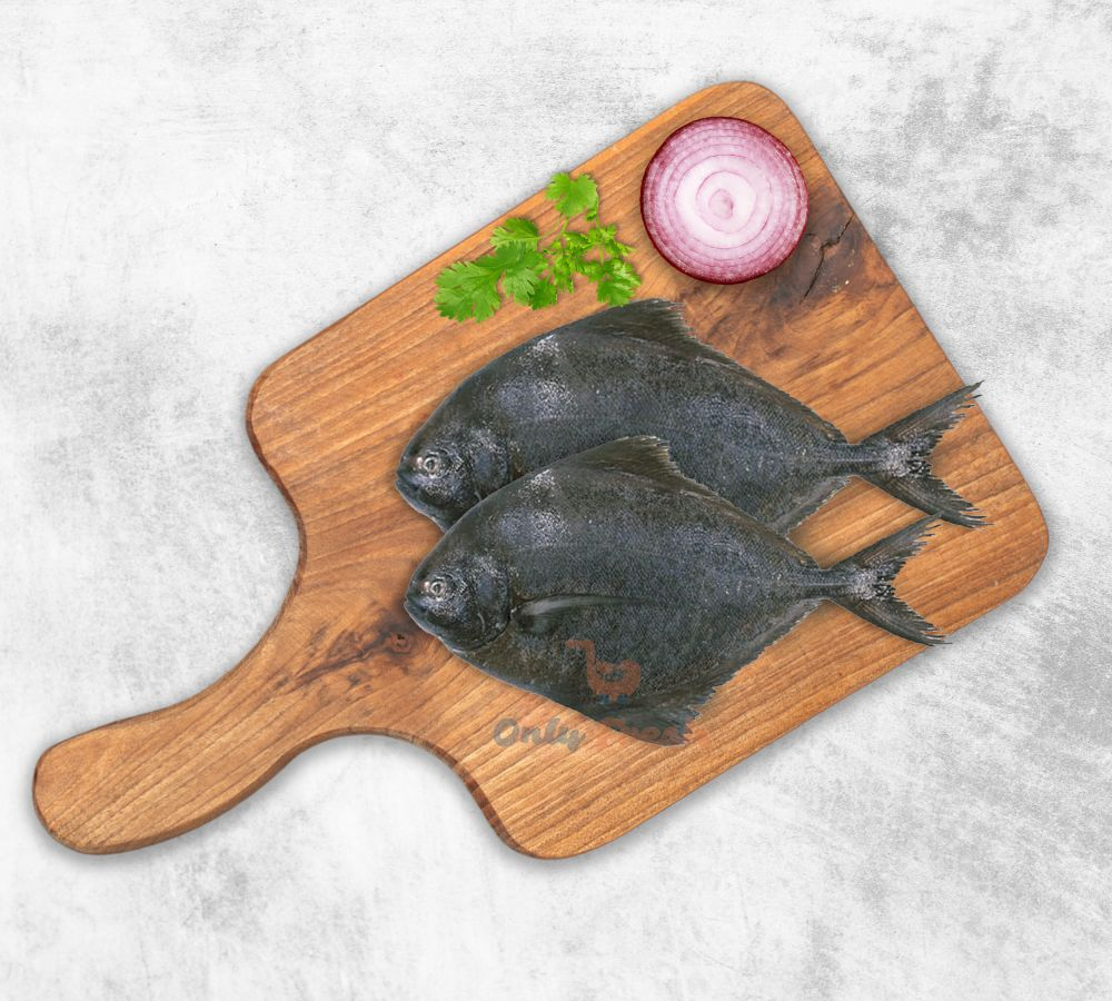BLACK POMFRET/AVOLI SMALL SIZE