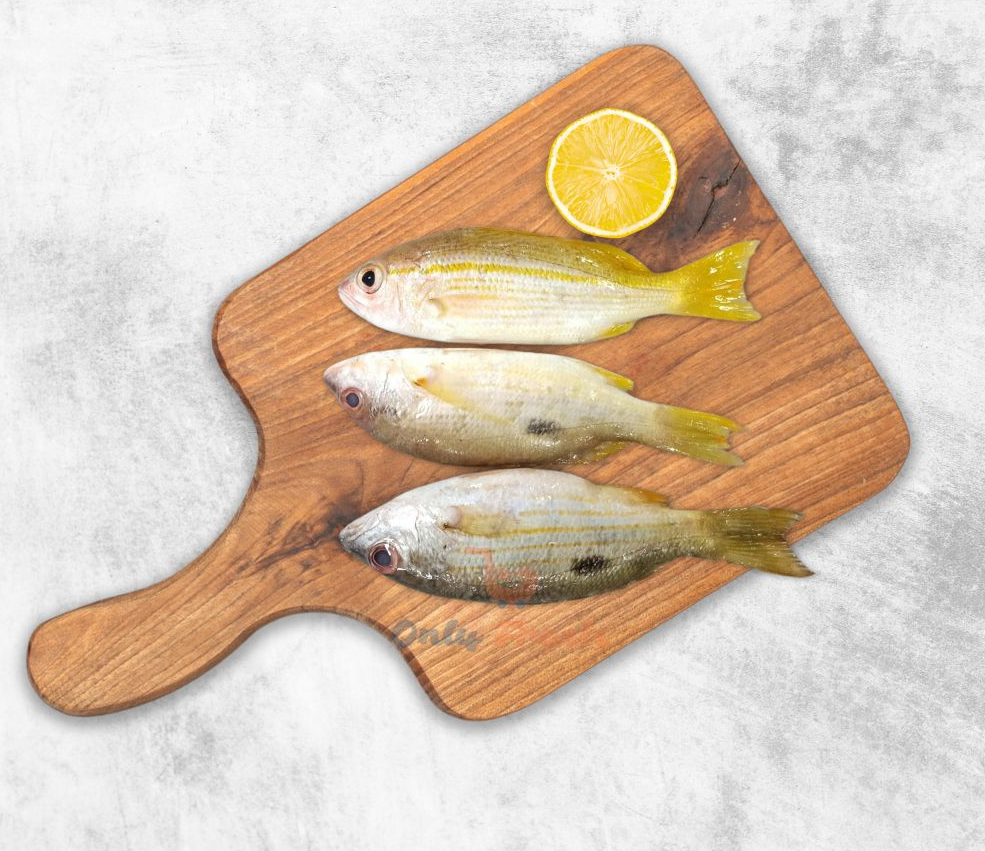Only Fresh Products