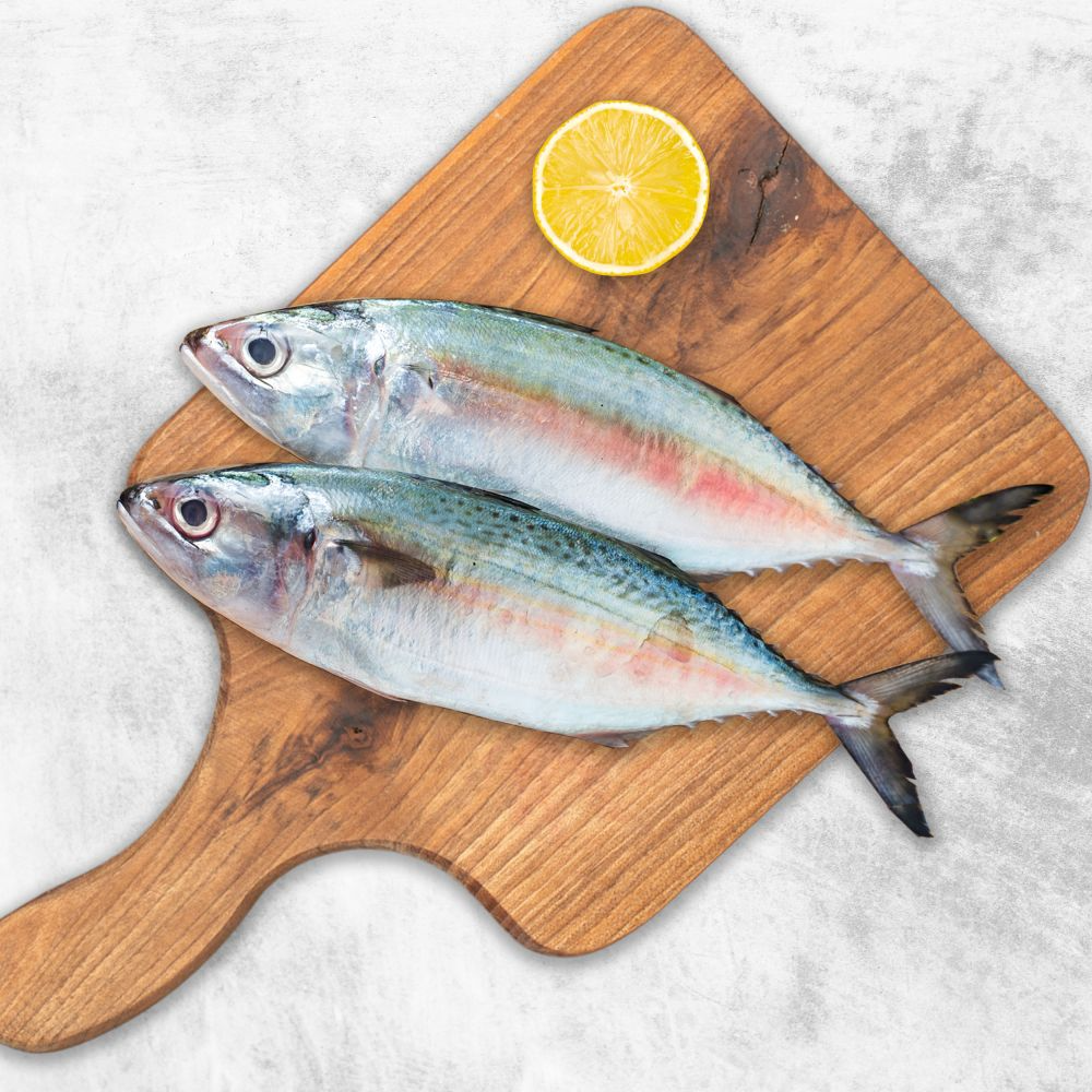 MACKEREL BIG, AYALA BIG online in Dubai, Ajman, Sharjah, Umm Al Quwain